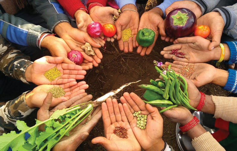 What Is Regenerative Farming?